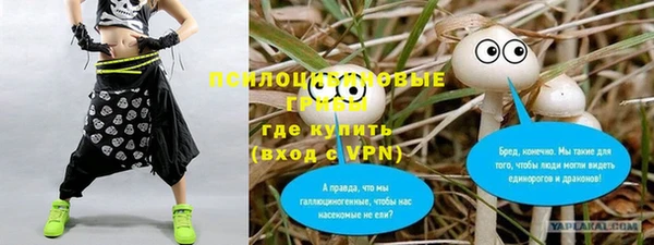 СК Нея