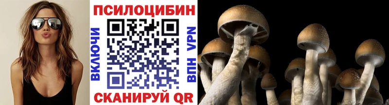 Галлюциногенные грибы Psilocybe  Купить где  Иваново 