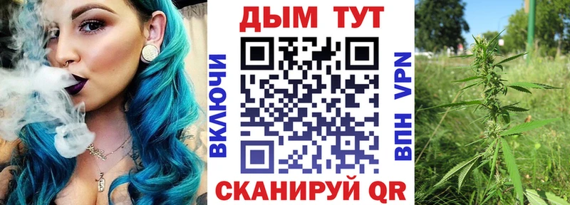 Купить закладки  Иваново  Бошки марихуана план 